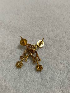 Elegant Gold Dangle Earrings