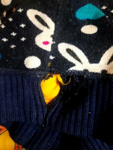 Bunny Girl Sweater 2 To 4 Years