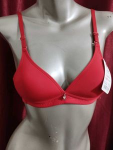 045 - Low Neck Cut Bra