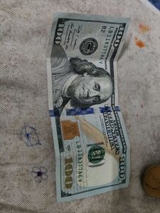 Dollar 100