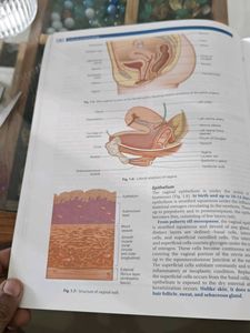 DC Dutta Gynecology Textbook