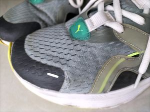 Puma Shoes 👟