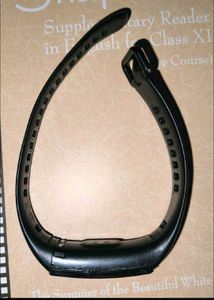 Hobor Band 5 amoled display