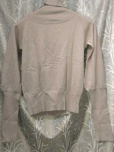 Stylish Tan Turtleneck Sweater