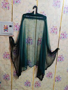 🇳🇿💫🎀Elegant Two tone duppata