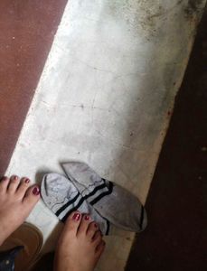 Used Socks For Women
