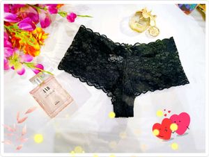 🖤🇬🇧💫 Imported Net Bottom Wear
