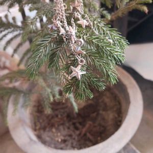 Long Hanging Star Earrings