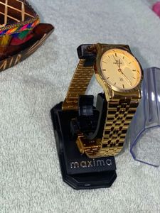 Mens Maxima Gold Watch