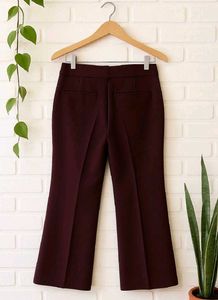 Flared Maroon Pants