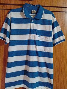 Maxcity Collar T Shirt Blue And White Colour T Shirt XXL no Flaws Koi Daag Dhabba Nahi Hai Collar Tshirt Xxl Full Size
