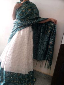 Beautiful Gaghra Choli