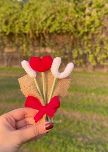 Crochet Valentine Day Special