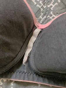 Padded Bra And Panty