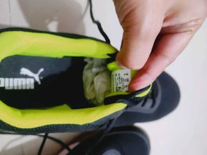 Puma Indoor Sports Shoes