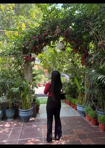 Red Off-Shoulder Long Sleeve Top