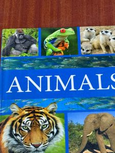 Animals Book