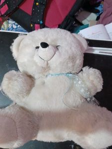 Cute Cream Teddy Bear