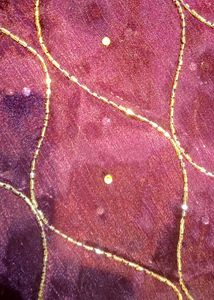 Maroon  Saree