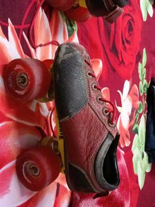 Vintage Roller Skates