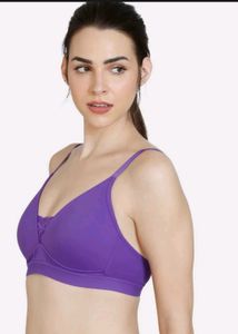 reZivame Beautiful Basics  Padded Non Wired 3/4th