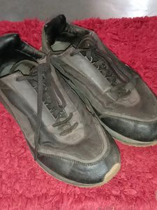Zara Shoe