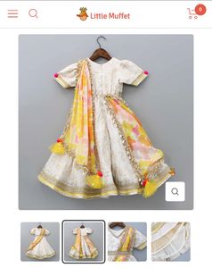 Elegant Embroidered Anarkali Dress
