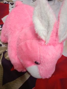 Cute Pink Softoy