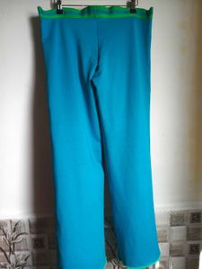 Size Large Aqua Track Pants