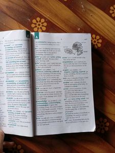 Oxford Dictionary