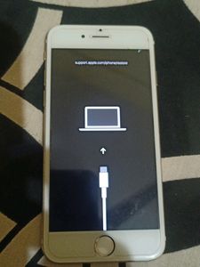Iphone 6s (Software Problem)
