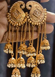 Elegant Ethnic and Party wear Earning