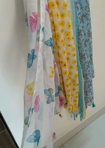 Elegant Printed Dupattas