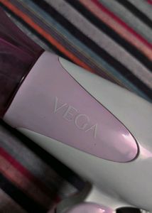 Vega Hairy Dryer
