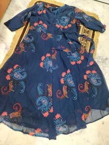 It's A Beautiful Full Flair Printed Gown