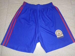 Blue Striped Shorts
