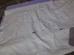Baby Dry quick Sheet Combo Pack For 4