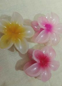 Flower Hair Clips