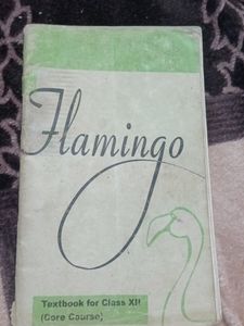 Flamingo Class XII