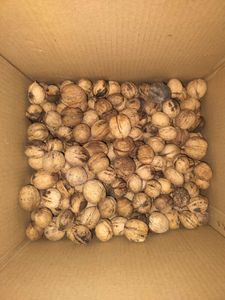 5kg Walnuts For Sooriya