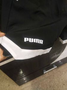 Beautiful Men Shorts New Collection With Tag