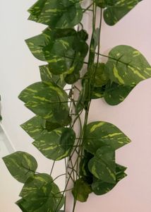 Green Money Plant - Artificial Leafs (Set of 5)