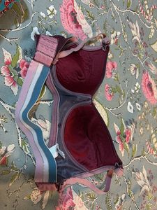Padded Brassiere From Clovia