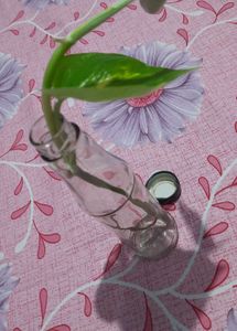One Aesthetic Glass Bottle For Decoration