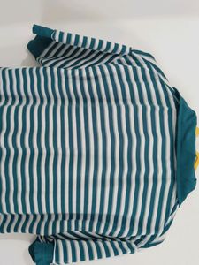 Striped Collar Neck Tshirt