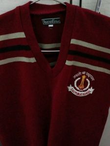 Dav Public School Sweater
