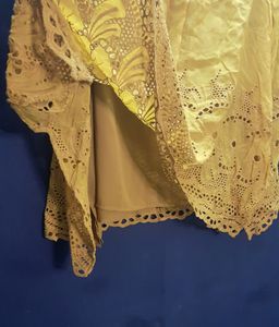 Schiffli Embroidered Mustered Georgette SKirt