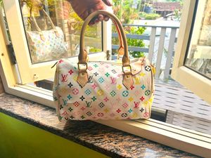 Louis Vuitton Rainbow Speedy bag