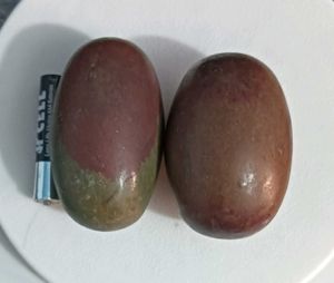 Shiva Lingam