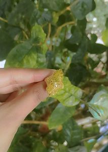 Gold Polished Ring